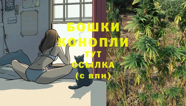 ECSTASY Майский