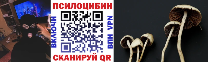 Галлюциногенные грибы ЛСД  Купить закладки  Алексин 